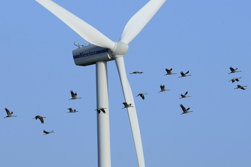 rsz_1wind-farm-with-flock-of-cranes---1047532---free.jpg